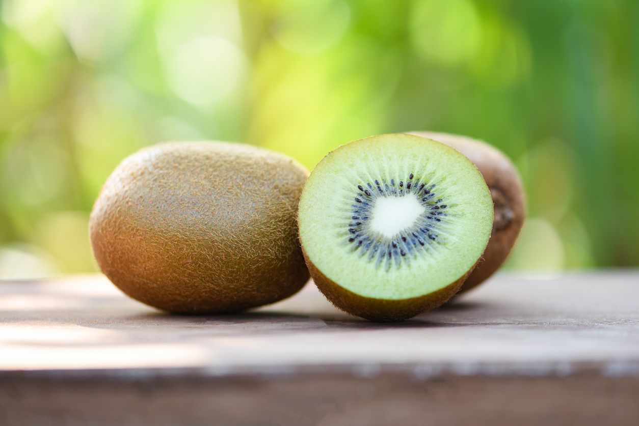 Ilustrasi buah kiwi