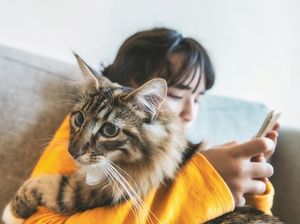 Wanita Simpan 159 Kucing di Apartemen Picu Keributan, Ternyata Idap Kondisi Ini
