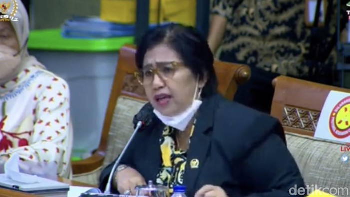 Irma Suryani Chaniago (Firda Cynthia Anggrainy/detikcom).