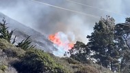 Kebakaran Hutan di AS, 283 Hektare Lahan Habis Dilahap Api