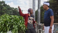 Cerita Haru Herman Penyambit Rumput Tunawicara di Bandung Barat