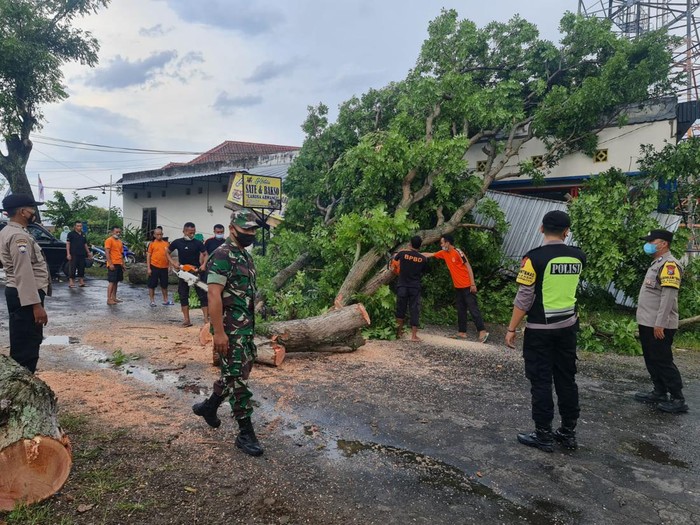 Hujan deras disertai angin kencang melanda Magetan. Banyak pohon tumbang dan salah satunya menimpa sebuah ruko.