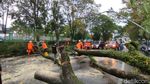 Potret Ciamis Porak Poranda Diterjang Angin Kencang