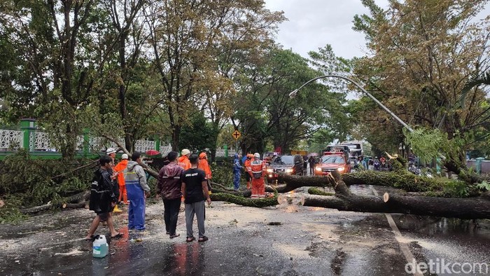 Potret Ciamis Porak Poranda Diterjang Angin Kencang Hujan deras disertai angin kencang menerjang wilayah perkotaan Ciamis. Ada belasan pohon tumbang di beberapa ruas jalan.