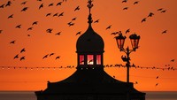 Sekumpulan Burung Jalak turun di dermaga utara Blackpool saat matahari terbenam, Inggris, (14/1/2022).  (Photo by Christopher Furlong/Getty Images)