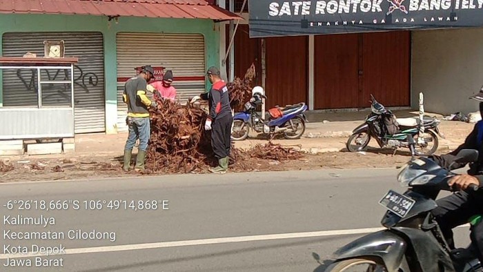 Tiga petugas Dinas PUPR Kota Depok mulai mengangkut batang pohon sisa penebangan di Jalan Kalimulya.