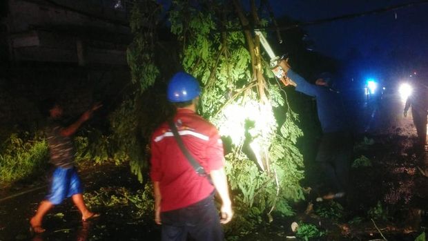 angin kencang di banyuwangi