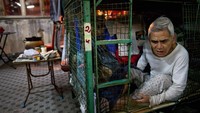 Tak banyak aktivitas yang bisa dilakukan di rumah tersebut.