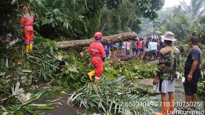 Dampak hujan deras disertai angin kencang di Sleman, Rabu sore (26/1/2022).