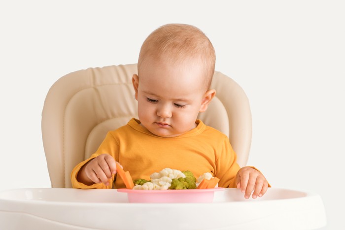 Ibu Ini Terapkan Pola Makan Vegan Pada Bayinya Ibu Ini Terapkan Pola Makan Vegan Pada Bayinya