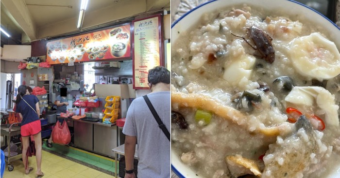 Kecoa dalam Bubur