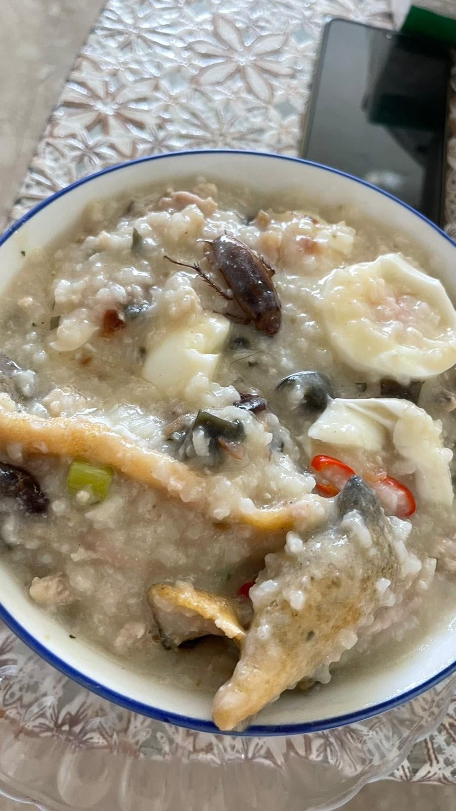 Kecoa dalam Bubur