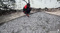 Dalam satu hari nelayan bisa mendapatkan hingga 20 kilogram ikan teri dengan harga Rp75.000 per kilogram.