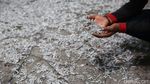 Melihat Produksi Ikan Teri di Pulau Kelapa