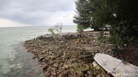 Adapun aset tanah timbul di wilayah Kelurahan Pulau Panggang terdiri dari tujuh pulau diantaranya gosong karang bongkok, gosong petrik pulau air, gosong pulau pramuka sebelah timur, gosong balik layar, gosong pulau peniki, gosong pulau karya dan gosong karang lebar.