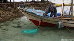 Ini Lho... Pulau Gosong, Aset Baru Pemprov DKI di Kepulauan Seribu