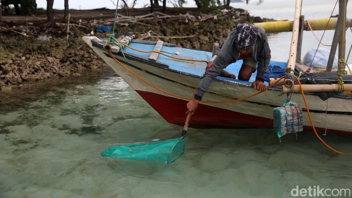 Pemerintah Provinsi DKI Jakarta mengamankan aset tanah timbul ini berupa pulau gosong. Pulau ini terlihat saat air sedang surut.