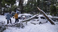 Badai salju dengan tingkat keparahan yang jarang mengganggu lalu lintas jalan dan udara di ibu kota Yunani, Athena dan kota tetangga terbesar di Turki, Istanbul, sementara sebagian besar Yunani, termasuk — luar biasa — beberapa pulau Aegea, dan sebagian besar wilayah Turki diselimuti salju. (AP/Thanassis Stavrakis)