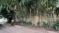 Seorang goweser melintas di depan Warung Tuman dengan lokasi yang terpencil di tengah ingar bingar Bumi Serpong Damai. Sejumlah pengunjung yang pertama kali ke sini dan mengandalkan petunjuk google map, nyasar ke perkampungan penduduk.