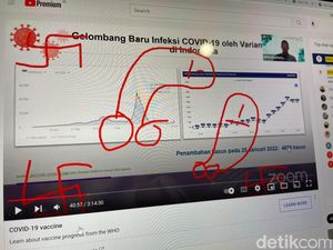 Duh, Ada Zoombombing Kelamin & Nazi di Webinar Vaksin COVID-19 BRIN
