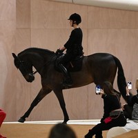 Dalam video yang diunggah di Instagram @chanelofficial, Sebastien Tellier, musisi yang terlibat dalam fashion show Chanel, menjelaskan bahwa hadirnya seekor kuda memang cukup berisiko. Dengan kemunculan Charlotte dan kudanya di pembukaan (fashion show), kami tidak yakin dengan apa yang akan terjadi, tapi mengambil risiko itu selalu menarik! Dan sebuah fashion show harus membuat sebuah ketertarikan, ujarnya. (Foto: Getty Images/Pascal Le Segretain)