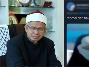 Eks Menag Malaysia Sebut Penguin Lucu dan Halal Dimakan, Warganet Kaget
