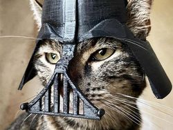 Gemas! Pria Ini Bikin Helm Pakai Printer 3D Buat Kucing Kesayangannya