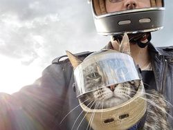 Gemas! Pria Ini Bikin Helm Pakai Printer 3D Buat Kucing Kesayangannya