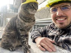 Gemas! Pria Ini Bikin Helm Pakai Printer 3D Buat Kucing Kesayangannya