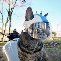 fotoinet helm kucing printer 3d