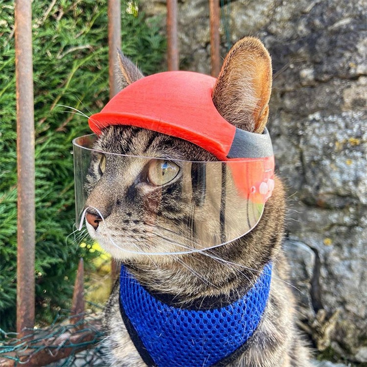 fotoinet helm kucing printer 3d fotoinet helm kucing printer 3d
