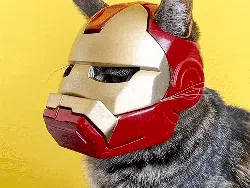 Gemas! Pria Ini Bikin Helm Pakai Printer 3D Buat Kucing Kesayangannya