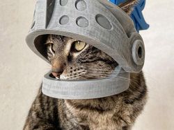 Gemas! Pria Ini Bikin Helm Pakai Printer 3D Buat Kucing Kesayangannya