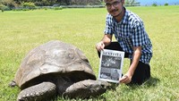  Dia juga tercatat dalam Guinness World Records dalam kategori yang mencakup semua kura-kura dan terrapin.
