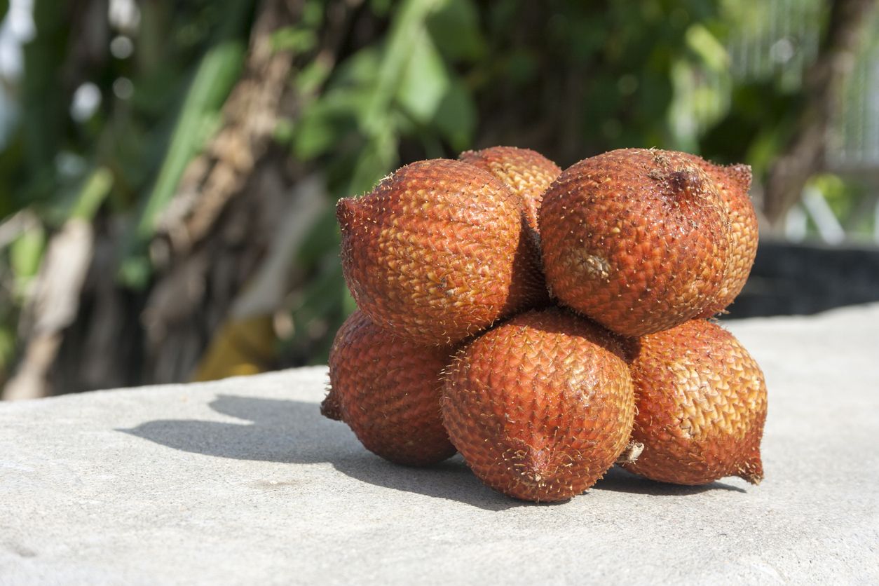 Kulit Salak Bisa Diolah Jadi Teh yang Menyehatkan, Ini Cara Membuatnya