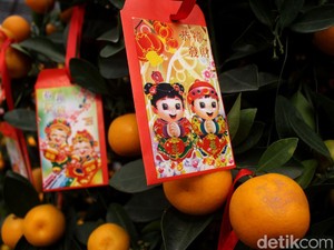 Makna Jeruk Saat Imlek Apa Ya? Yuk Simak Penjelasannya