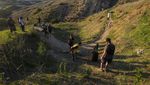 Mengenang 2 Tahun Kepergian Kobe Bryant dari Lokasi Kecelakaan