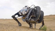 China Pamer Kecanggihan Robot 4 Kaki Terbesar di Dunia