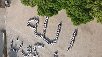 Seperti diketahui, drone ini sudah banyak digunakan oleh kalangan media ataupun penghobi fotografi untuk mengambil gambar dari udara.