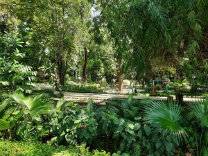 10 Tempat Jogging di Surabaya, Taman Bungkul hingga Kampus Unesa