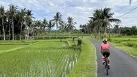 Turis domestik sendirian melintasi hamparan persawahan di Bali, Indonesia (20/12/2022). Menikmati alam segar mendorong hormon bahagia.  (Ari Saputra/detikcom).