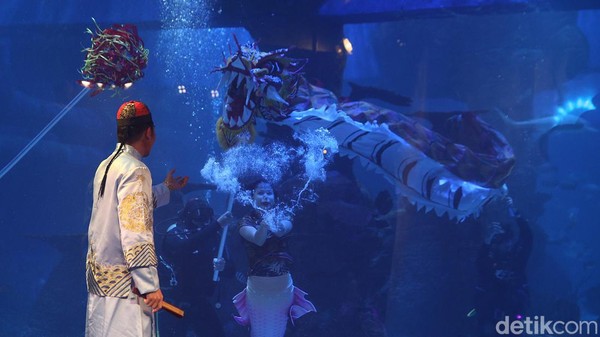 Pertunjukkan tersebut digelar di Jakarta Aquarium dan Safari di Mall Neo Soho, Jakarta.