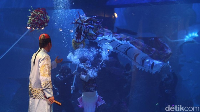 Terpincut Atraksi Liong Bawah Air di Jakarta Aquarium Menyambut Tahun Baru Imlek 2573 yang jatuh pada 1 Februari mendatang, Jakarta Aquarium dan Safari menggelar atraksi liong bawah air. Penasaran?