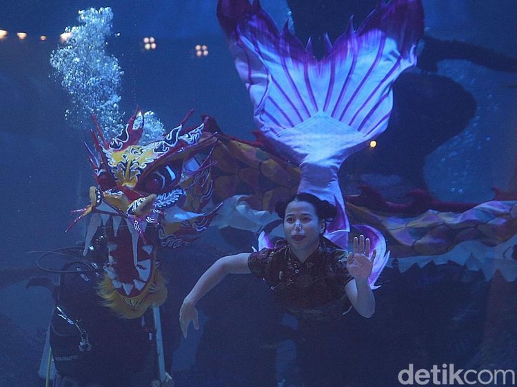 Kepincut Atraksi Liong Bawah Air di Jakarta Aquarium