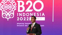Ketua Dewan Pertimbangan KADIN Indonesia Anindya Novyan Bakrie memimpin diskusi informal Forum B20 yang diikuti semua delegasi anggota G20, di Jakarta, Kamis (27/1/2022).
