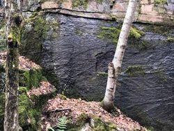 Deretan Foto yang Menipu Mata, Lihatnya Harus Fokus!