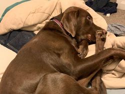 Deretan Foto yang Menipu Mata, Lihatnya Harus Fokus!