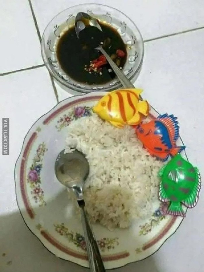 10 Aksi Netizen Masak Konyol