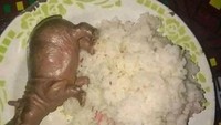 Bosan dengan daging sapi, netizen ini coba memasak hewan berdaging tebal lainnya. Penasaran mencoba daging badak, sementara coba yang mainan dulu saja ya! Foto: 1cak.com