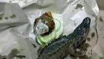 10 Masakan Konyol Netizen, Ada Seafood Plastik hingga Tumis Dinosaurus!